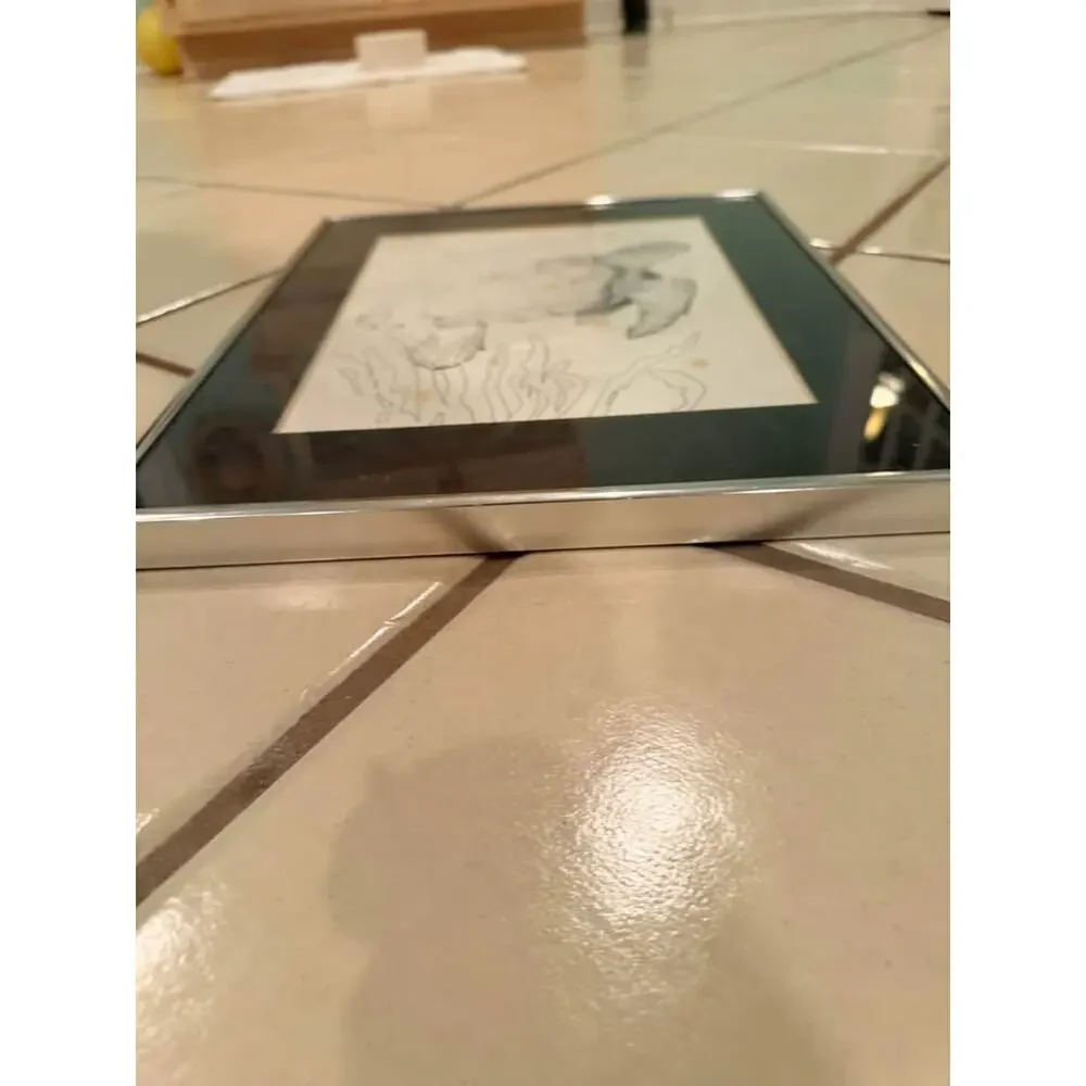 Medium thin Silver frame -12.5 x 15 inches